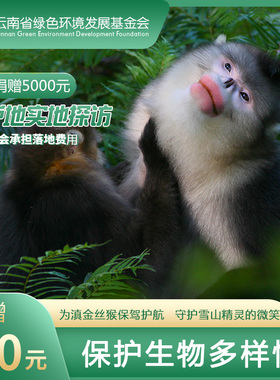 滇金丝猴的救兵 全境保护网络 爱心捐赠 公益 云南 野生动物