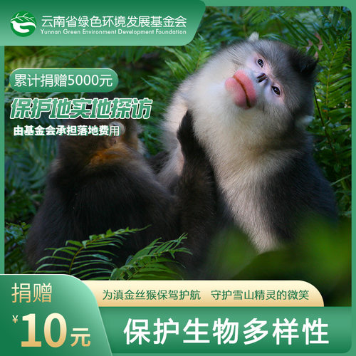 爱心捐赠，担当猴子救兵。保护野生濒危滇金丝猴，留住滇金丝猴的微笑。关注店铺微淘，及时了解猴群最新动态。