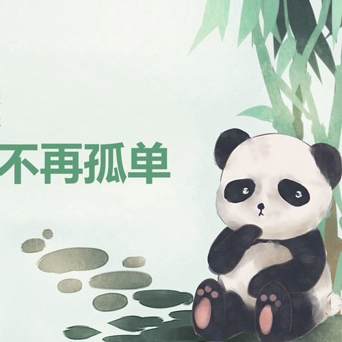 小種群期盼大團圓 大熊貓滾滾求幫助在類目 公益, 捐贈中 - 來自Buy2taobao.com提供專業的淘寶代購服務