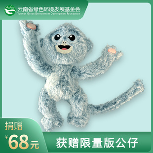 中缅灰叶猴 特别定制版 公仔 玩偶 毛绒玩具 公益周边 爱心义卖