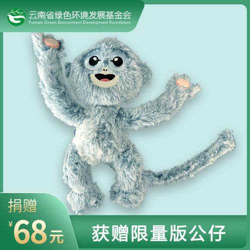 中缅灰叶猴 特别定制版 公仔 玩偶 毛绒玩具 公益周边 爱心义卖