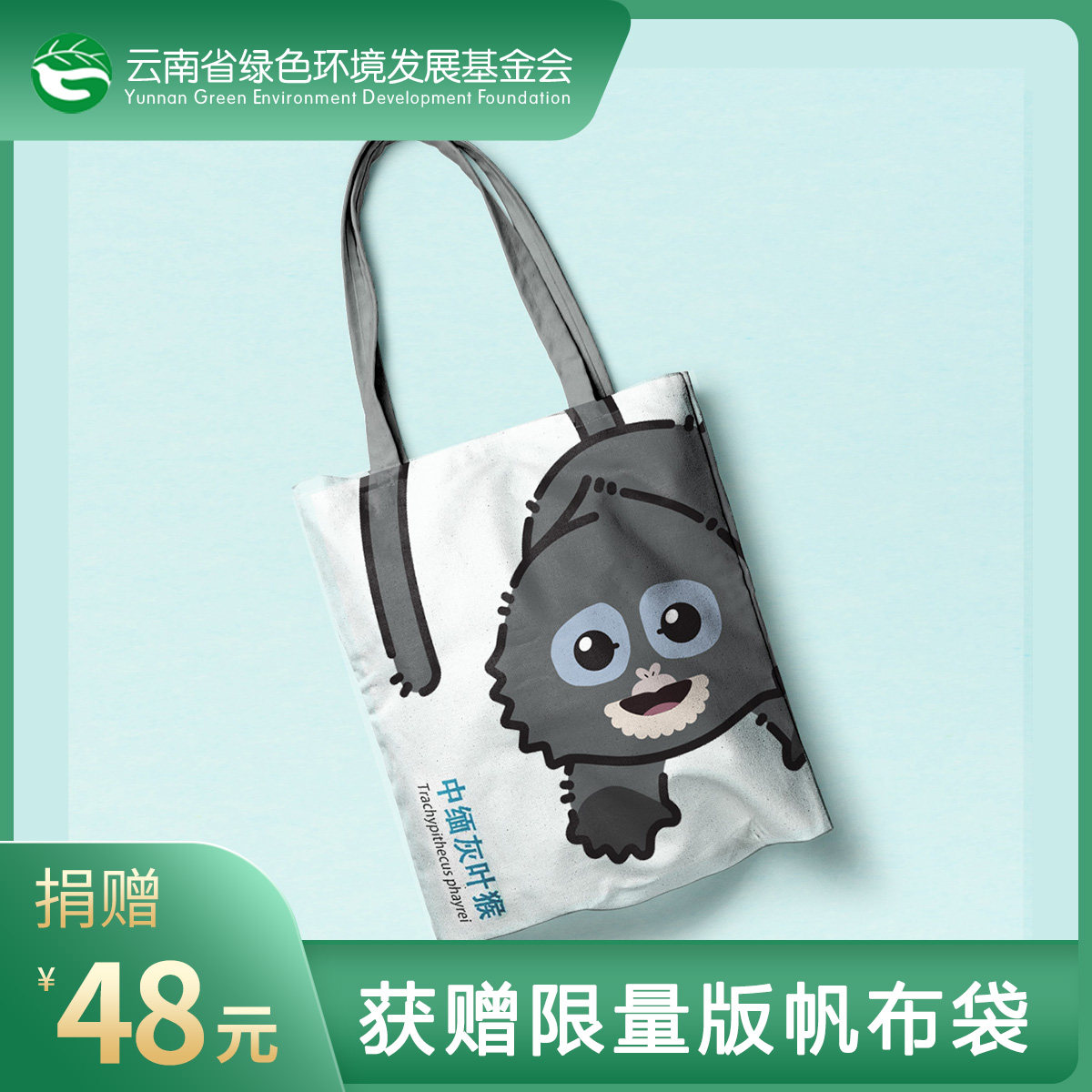 捐赠回馈 帆布袋 单肩包  中缅灰叶猴 周边 特别定制版图片