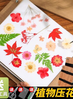 压花板干花手工diy材料包