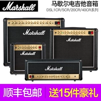 Marshall MARSHALL loa ống đầy đủ DSL1CR với âm thanh guitar điện vang dội - Loa loa loa vi tính 5.1