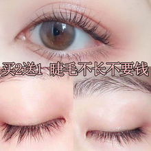 睫毛眉毛增长液自然生长浓密卷翘纤长正品 孕睫套装 小红书推荐