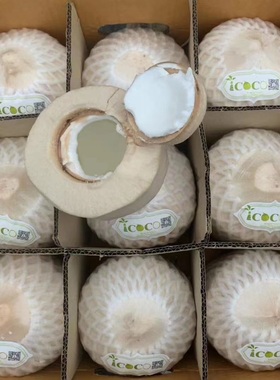 艾可可椰青 泰国进口椰子icoco椰子甜品天然饮品9粒大果福建同城