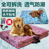 Pet dog đồ chơi TPE chuông bóng pet dog tương tác đồ chơi giáo dục mèo dog Teddy bear vocal