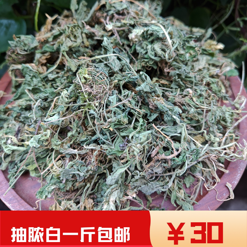 黄瓜香 抽脓白 秋浓白 匍匐堇 匍伏堇 七星莲 浙江草药 干货500克