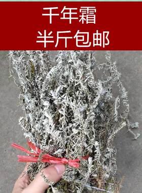 白毛鹿茸草 六月霜 千年霜 千年艾 白头翁 野生草药 干品250克