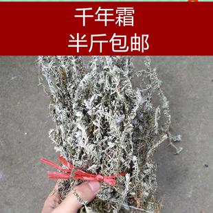 白毛鹿茸草 六月霜 千年霜 千年艾 白头翁 野生草药 干品250克