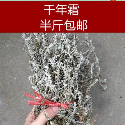 白毛鹿茸草 六月霜 千年霜 千年艾 白头翁 野生草药 干品250克