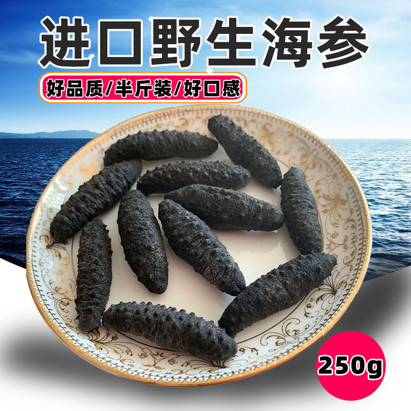 土耳其进口野生海参干货特价半斤