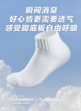 SEGUNDA+ 日本进口抗菌防臭吸汗白色高弹透气纯色加厚百搭中筒袜