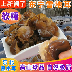 东北黑木耳东宁雪地耳软糯肉厚免摘仿野生栽培火锅食材特产伴手礼