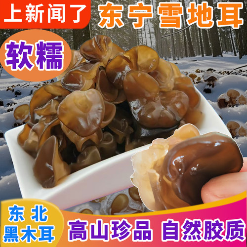 东北黑木耳雪地耳软糯火锅食材