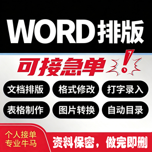个人接单价格优惠word排版图片转化图片录入打字录入表格制作