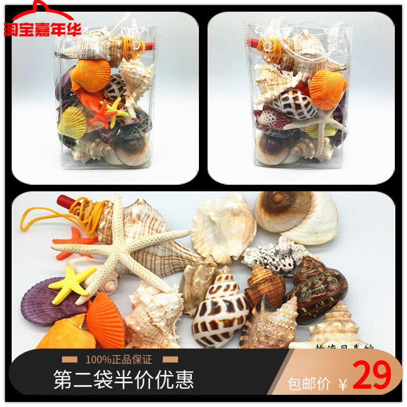 天然海螺海星贝壳套装 儿童玩具科普鱼缸装饰造景纪念品礼物包邮