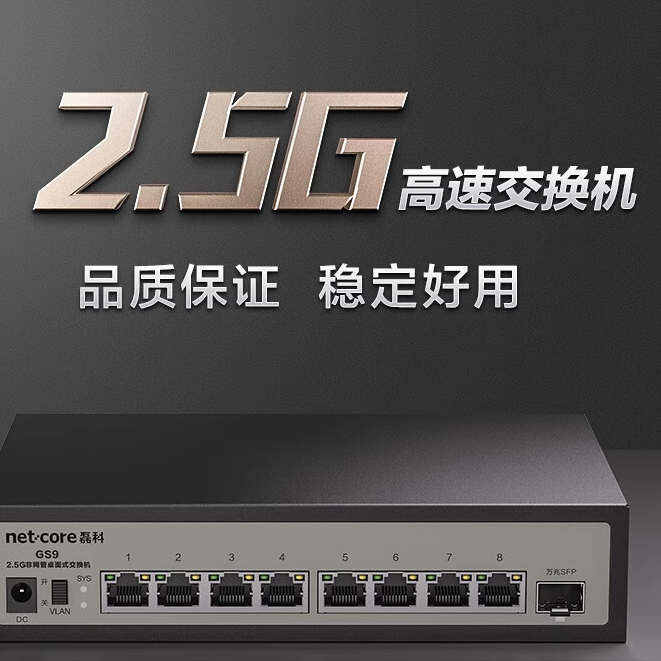 磊科（netcore）GS9 9口企业级交换机8个2.5G电口+1个万兆SFP光口 千兆网络分线器 支持VLAN隔离 网络设备/网络相关 交换机 原图主图