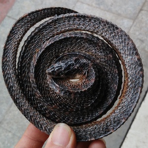 中药材精选赤链蛇干100 克另售四川正品乌梢蛇盘蛇干 干蛇粉包邮