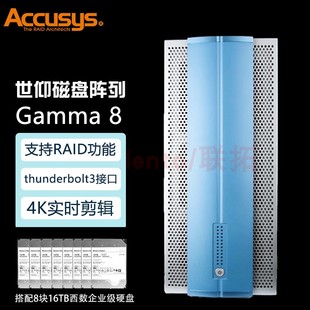 Accusys 直连静音存储系统 Gamma8 8层磁盘阵列柜 含128TB西数盘五年质保 雷电3 磁盘阵列 世仰