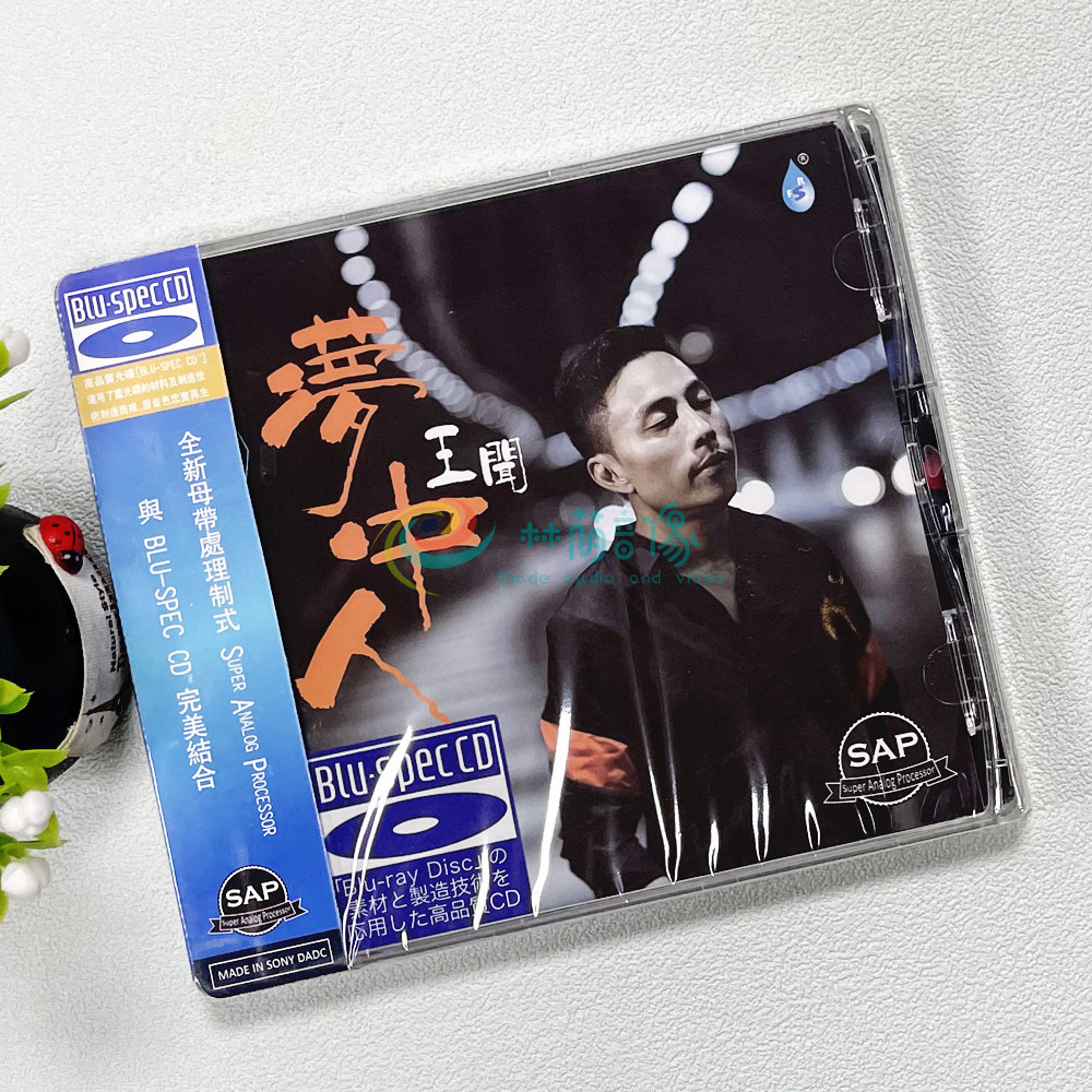 正版蓝光音乐光盘 雨林唱片 王闻 梦中人 蓝光CD 高品质发烧碟
