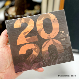 脏歌 2020 灿烂 你 歌词册 现货正版 摇滚唱片CD 汪峰新专辑