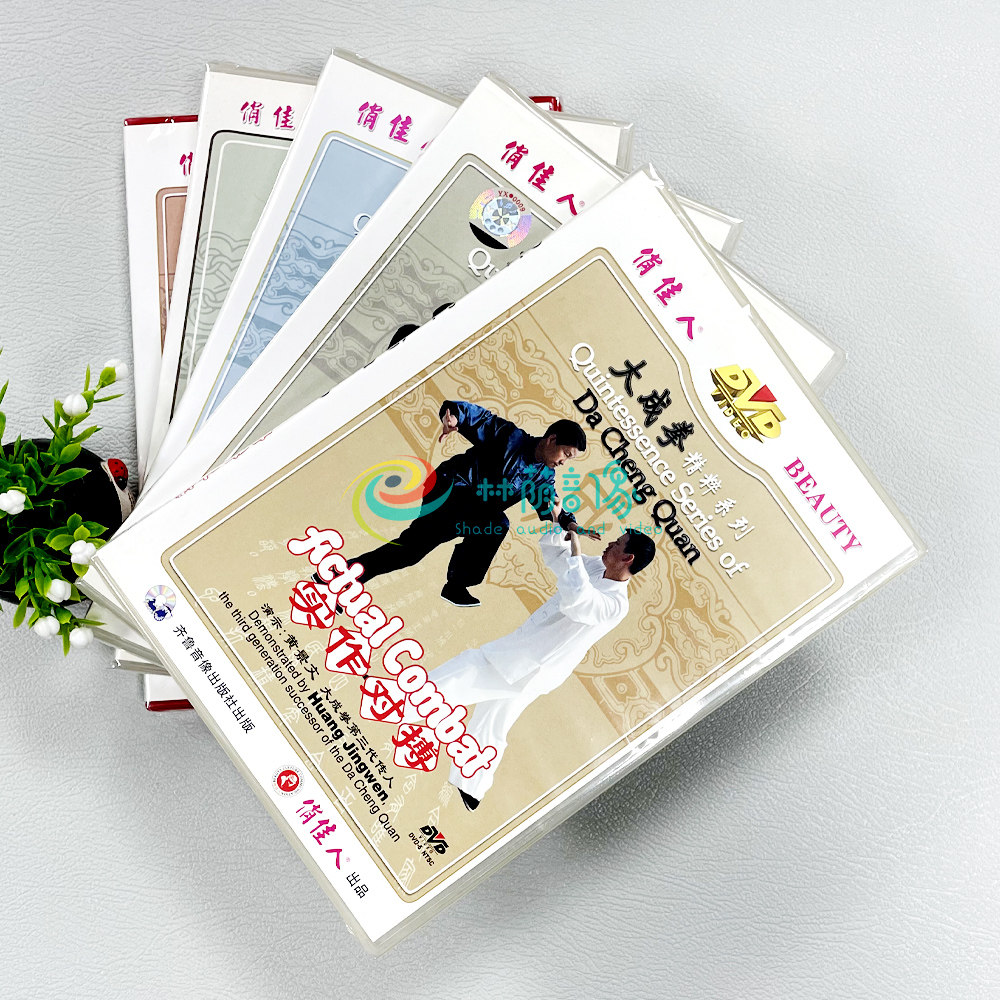 正版 大成拳精粹系列 站桩 试力 步法推手 发力 实作对搏 5dvd