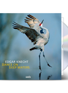 钢琴爵士三重奏示范盘 EDGAR KNECHT在水深处舞动 CD刘汉盛榜单