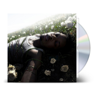 Withered 歌词本 d4vd专辑 官方正版