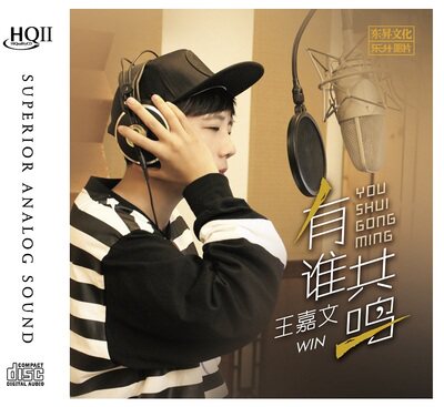 正版发烧 乐升唱片 王嘉文 有谁共鸣hqcdii 1cd国粤语金曲 限量版