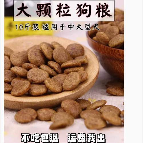 狗教授成犬松狮中型边牧哈士奇