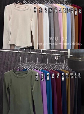 wu33圆领T恤2025秋季新款百搭修身显瘦设计感纯色加绒长袖打底衫