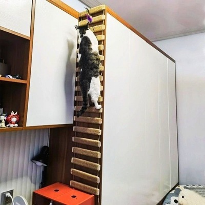 猫窝楼梯爬架猫笼蹬天梯/桥两用实木麻绳可连接跳台/磨爪