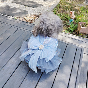 可爱狗狗衣服春秋装宠物小型犬泰迪裙子蓬蓬纱公主冬季猫咪防掉毛