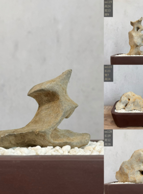天然太湖石奇石盆景附石精品鱼缸造景石头观赏原石摆件
