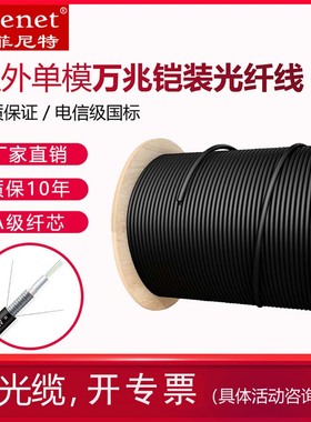 菲尼特 室外光缆单模万兆铠装光纤线4芯6芯8芯12芯16芯24芯电信级国标GYXTW-4B1.3中心束管