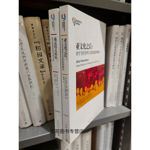 （品相6-9成新）国外青年文化研究译丛：通过仪式抵抗:战后英国的青年亚文化/亚文化之后：对于当代青年文化的批判研究