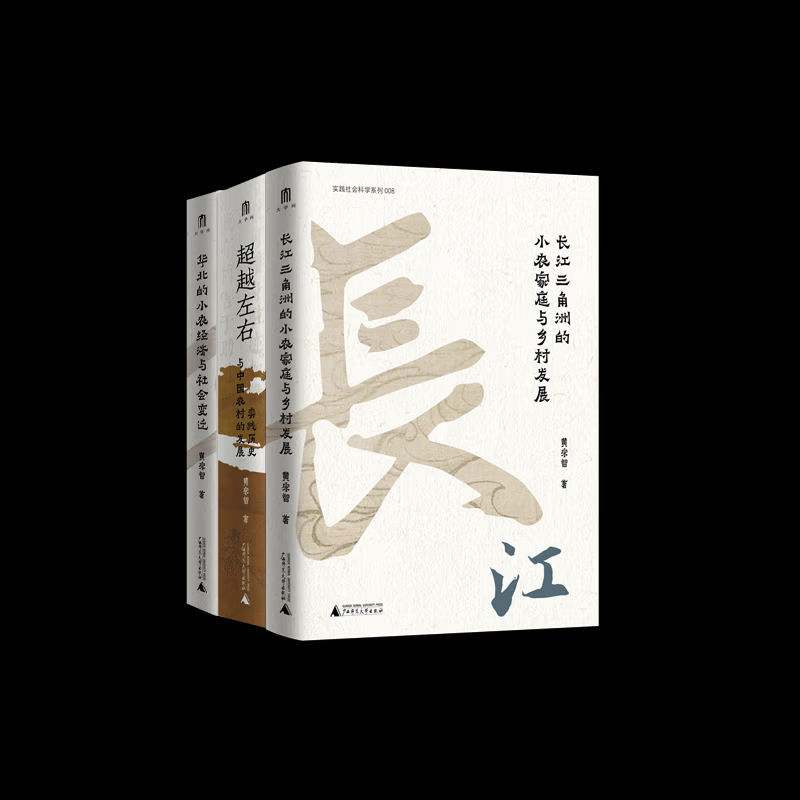 （自选系列）黄宗智作品集：长江三角洲的小农家庭与乡村发展.华北的小农经济与社会变迁.超越左右：实践历史与中国农村的发展