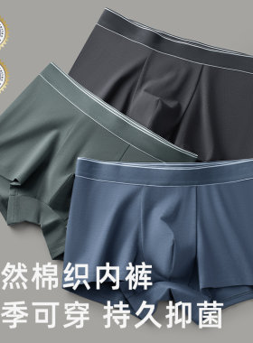 透气男生中腰纯色青年纯棉内裤