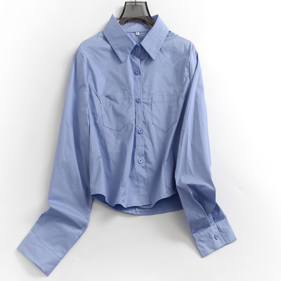 秋季新款通勤百搭长袖女短衬衫