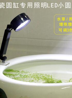 陶瓷圆缸专用照明灯圆形鱼缸防水LED彩灯鱼盆水草灯光节能小圆灯