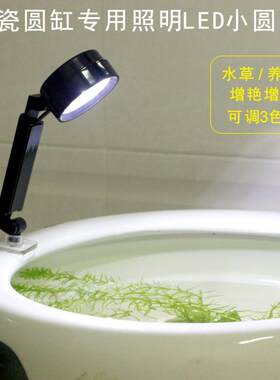 陶瓷圆缸鱼盆专用照明小灯光