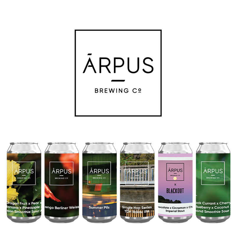 拉脱维亚 进口 ARPUS  盒子思维 系列 果泥酸艾尔 啤酒