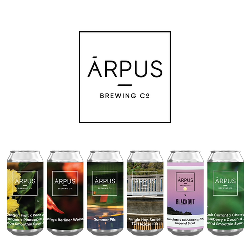 拉脱维亚 进口 ARPUS  盒子思维 系列 果泥酸艾尔 啤酒