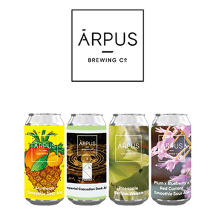 拉脱维亚 进口 ARPUS  盒子思维 系列 果泥酸艾尔 啤酒