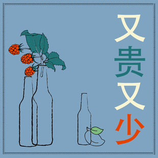 鸵鸟之星/帝磨栏/风车/范泽 野菌 酸啤 精酿啤酒/杜松子酒 过桶