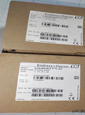 E+H FTL33-1374/0， FTL33-AA4M3A