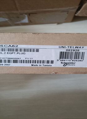 TSXSCA62，开封一只