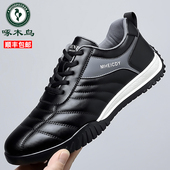 户外休闲鞋 真皮百搭透气舒适低跟轻便板鞋 子 休闲运动鞋 啄木鸟男鞋
