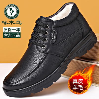 啄木鸟棉鞋男款冬季保暖加绒